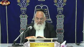 סכסוך שרי צוען ושרי נוף ותוצאותיו-ישעיה המשך פרק י"ט ¤ הרב אברהם כהניאן ¤ י"ט תמוז תשפ"ה (15.7.2025) (מוסדות תורת דוד) - התמונה מוצגת ישירות מתוך אתר האינטרנט יוטיוב. זכויות היוצרים בתמונה שייכות ליוצרה. קישור קרדיט למקור התוכן נמצא בתוך דף הסרטון