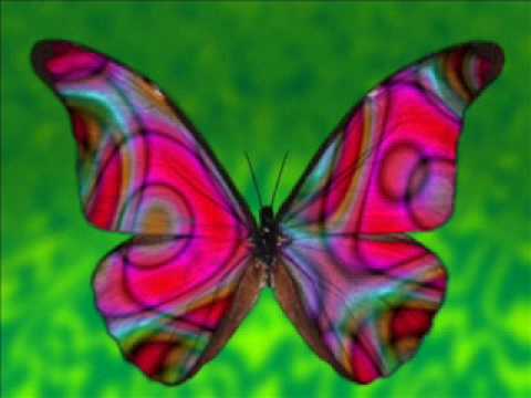 Gudrun Gut & Inga Humpe - Butterfly (1996)