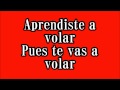 Vicente Fernandez Aprendiste a volar lyrics