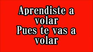 Vicente Fernandez Aprendiste a volar lyrics