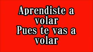 Vicente Fernandez Aprendiste a volar lyrics