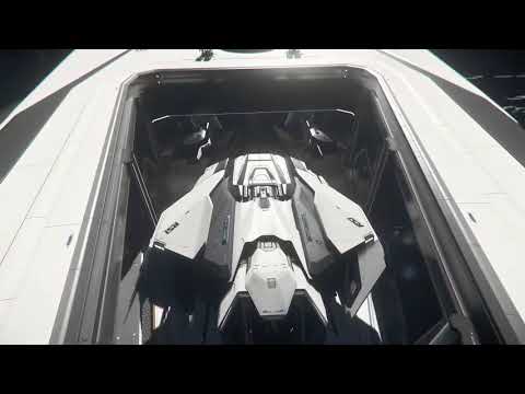 Mantis Fits in 890 Jump Hangar