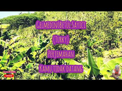 Betül Sayıcı - Gelmedin | Aşk Yeniden song (indonesia translation