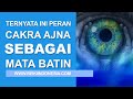Luar Biasa Ternyata Inilah 3 Peranan Cakra Ajna Sebagai Mata Batin