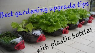 preview picture of video 'best gardening upgrades idea|low space gardening ideas'