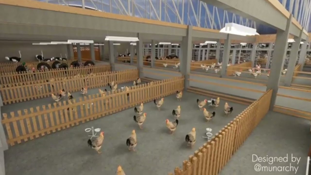 Inside Our Livestock Facilities