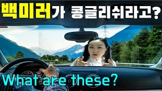 What Are These? 복수형 3차시 [백미러가 콩글리쉬라고?!]