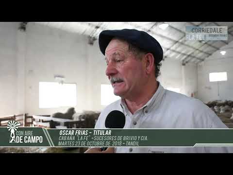 Resumen del remate de Lanares de Cabaña La Fe - Martes 23 de Octubre de 2018 - Tandil