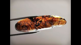 Okno do křídového jantaru BO-26