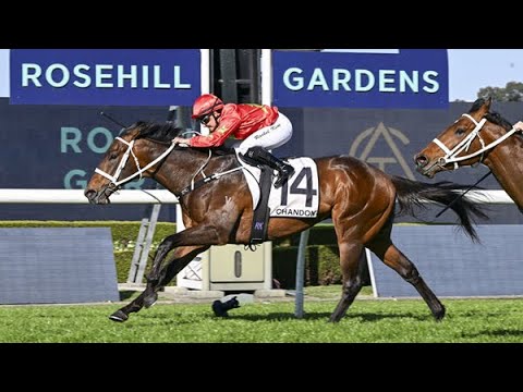 SIXTIES held off stablemate Autumn Boy to claim the G3 Ming Dynasty!