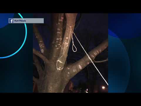 Fair Lawn Noose Found