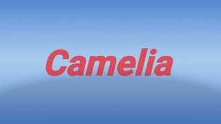 Download lagu Lirik Lagu Dangdut Camelia mp3 Download lagu Lirik Lagu Dangdut Camelia mp3