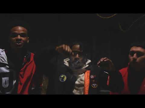 HG Terro x STK Nero - Commin at chu