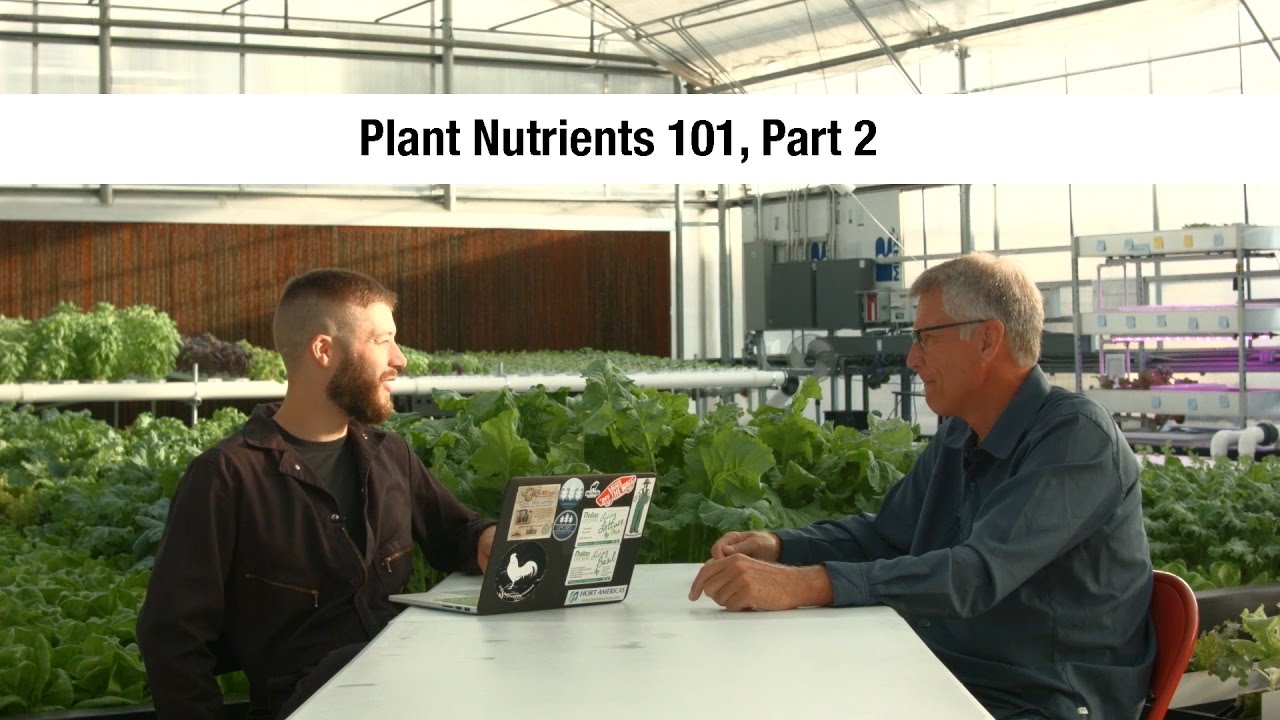 Essential Plant Nutrients - Part 2