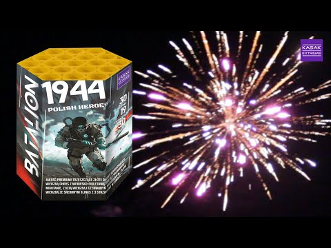 BATALION 1944 POLISH HEROES, SL19-03