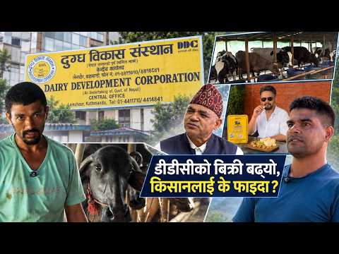 प्रधानमन्त्री बालेनको एक पोस्टपछि डीडीसीको बजार बढ्यो, तर किसानको समस्या किन उस्तै ?
