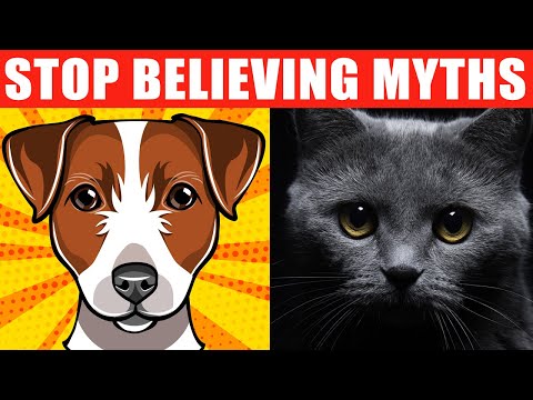24 Pet Myths You Should Stop Believing - YouTube