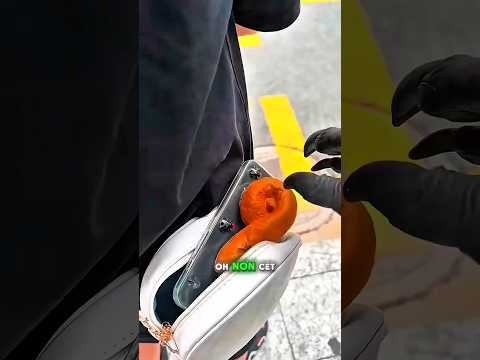 Le marché de l’iPhone le plus sale de tous les temps ! 🤢📱💩💸😂