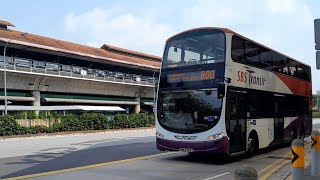 SBS3725Z(SEDEP) On Service 800 At Yishun Avenue 2