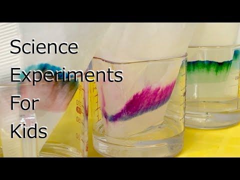 黒いペンに隠れた虹！インクの分解実験