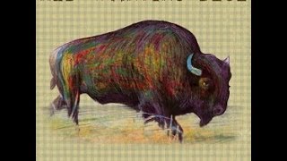 Open Review: Red Wanting Blue Little America