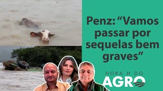 Rastro de destruição: animais, trator e lavouras ficam debaixo d’água após inundação no RS