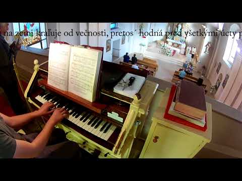 JKS 366 - Pozdravená buď, Mária (ein Marienlied)