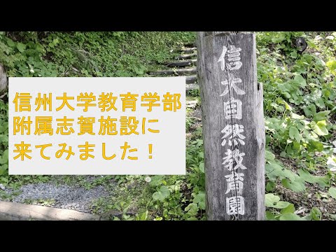 信州大学教育学部附属志賀施設に来てみました！