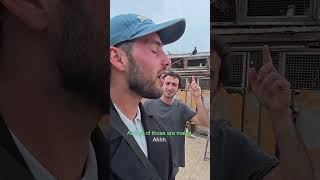Meeting the Pigeon Man in Damascus, Syria 🇸🇾