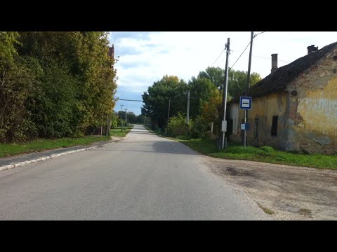 hogyan lehet megszabadulni a férgektől a pápán