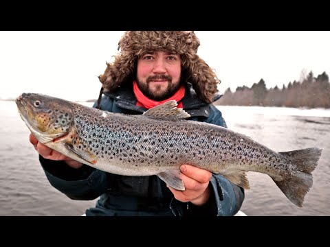 MERITAIMENTA RANNALTA JA VENEESTÄ - OULUJOEN HARTAANSELKÄ JA MERIKOSKI