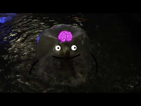 The Secret World Of Stuff