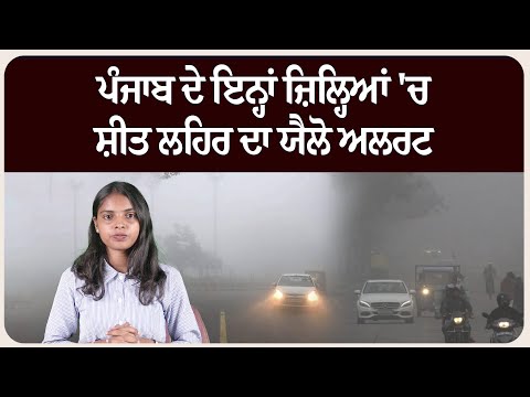 ਪੰਜਾਬ ਦੇ ਇਨ੍ਹਾਂ ਜ਼ਿਲ੍ਹਿਆਂ 'ਚ ਸ਼ੀਤ ਲਹਿਰ ਦਾ ਯੈਲੋ ਅਲਰਟ