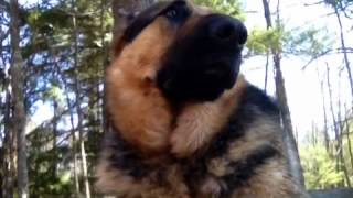 What to consider when buying a stacked laundry unit