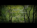 Pamela Mortensen - Memories in a Green Cathedral - Ambient Vocal Music