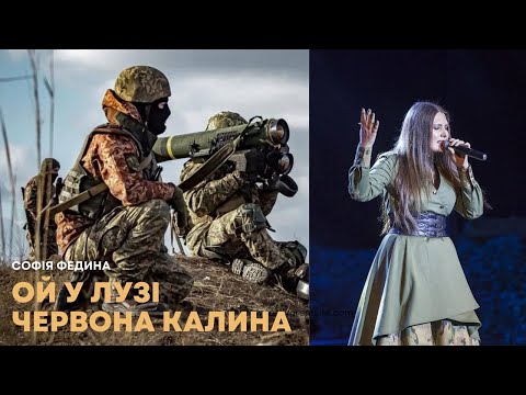 Ой у лузі червона калина