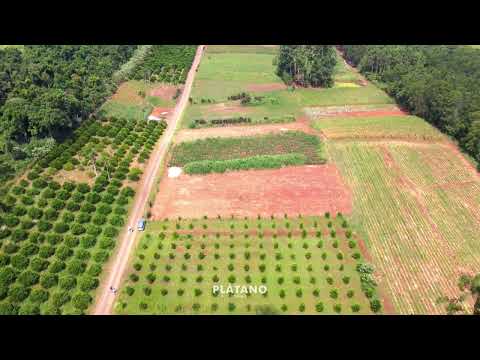 ÁREA DE TERRAS, 19682M² ÁREA TOTAL para venda EM CENTRO