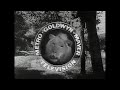 MGM Television Logo 1961 1