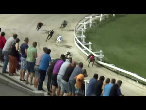 2023.06.23 9. FUTAM - KINCSEM PARK MAGYAR DERBY ELŐDÖNTŐ I. FUTAM