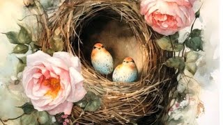 Exes (Melancholic V) - Bloc Party