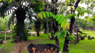 preview picture of video 'Phong cảnh Du lịch Hồ Tràm Beach boutique resort 7'