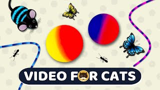Download lagu CAT GAMES - Catch the Rolling Ball, Mice, Ants, Strings, Butterflies | Video for Cats | CAT & DOG TV mp3
