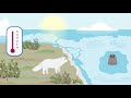 UBA-ErklÃ¤rfilm: Der Schutz der Arktis
