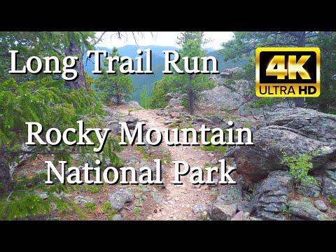 Virtual Trail Run for Treadmill 4K | North Fork and Boundary Trails | Rocky Mountain National Park