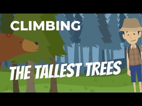 Climbing the Tallest Trees