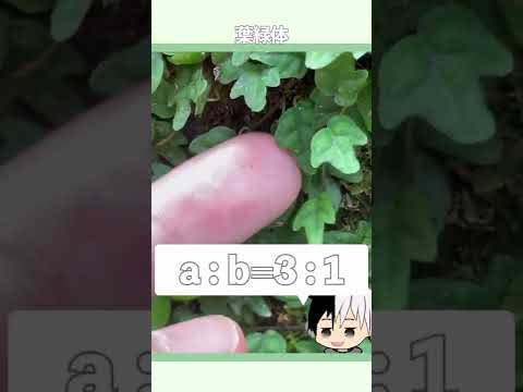 植物: 葉緑体はどのように遺伝するのか