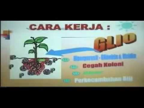 Patogen Forum Perempuan di tetes Pencuri di kamar mandi dan preman di potensi