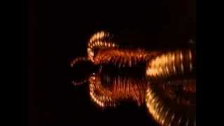Embers Fire Music Video