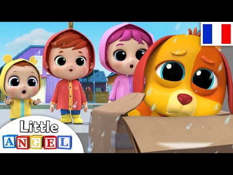 BINGO Le Chien - Comptines pour Bébé | Little Angel Français