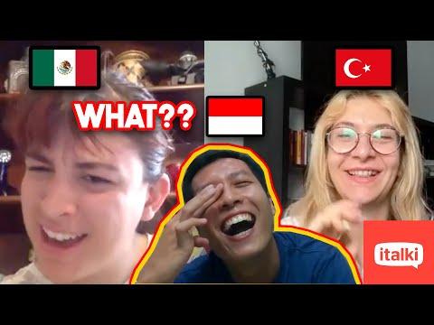 Trolling Languages Professor in italki😂